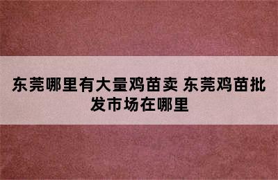 东莞哪里有大量鸡苗卖 东莞鸡苗批发市场在哪里